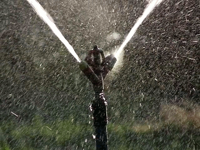 SPRINKLER
